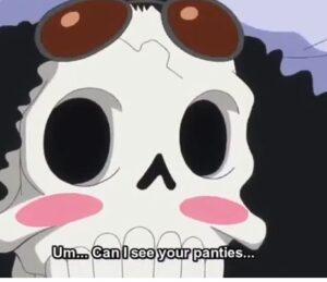 Brook Wiki, Height, Age, Family, Death, Biography & More – Animephied.com