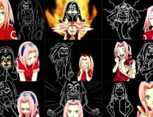 Different versions of Inner Sakura