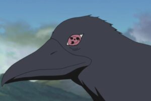 Itachi implants Shishui's eye in a crow